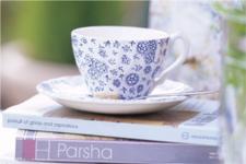 Jewish Moms' Blog