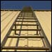 The Ladder
