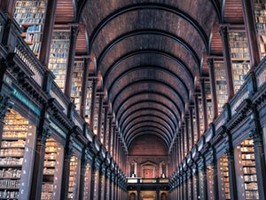 Torah Studies Course - Genesis
